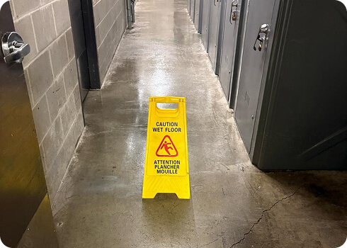 safaty-2